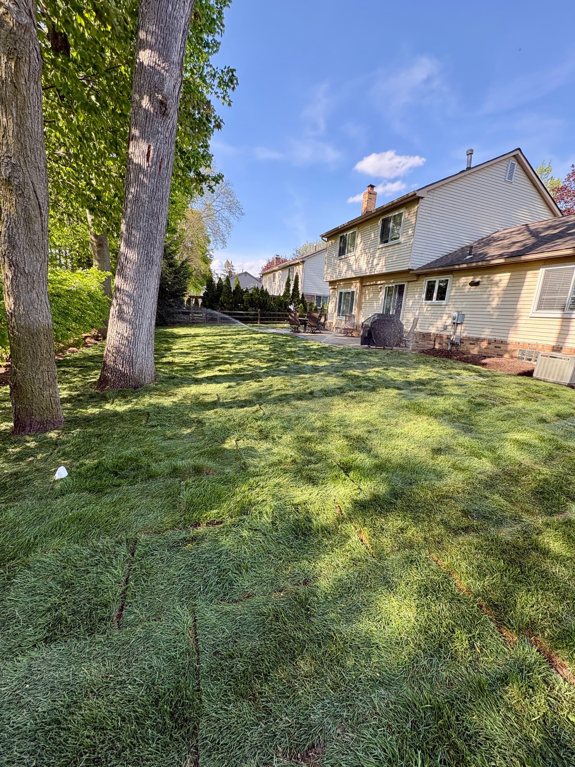 4,000 Sq. Ft. Sod Installation and Regrade in Novi image