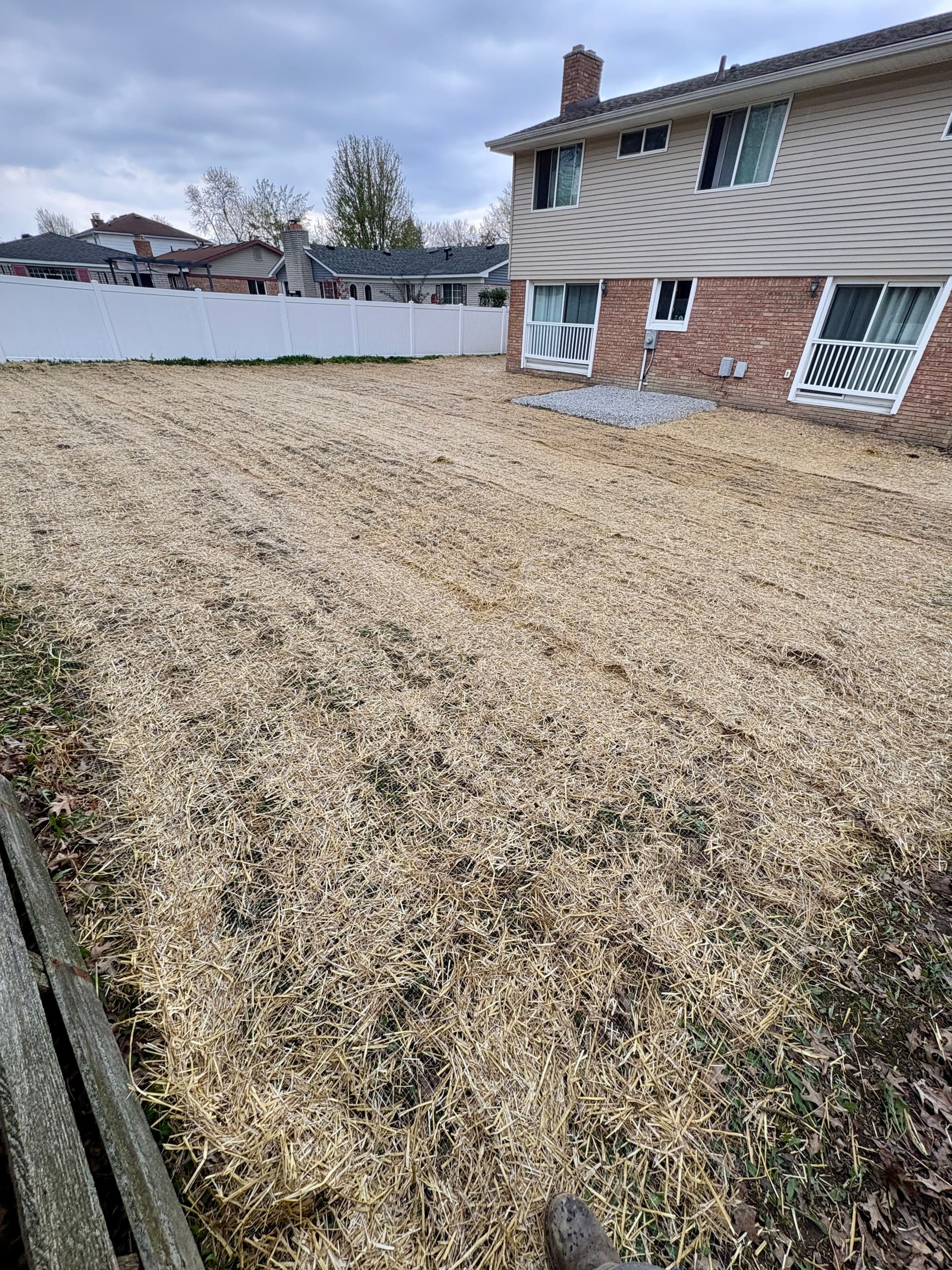 When Your Yard Floods Every Rain, Seed Alone Won't Cut It image