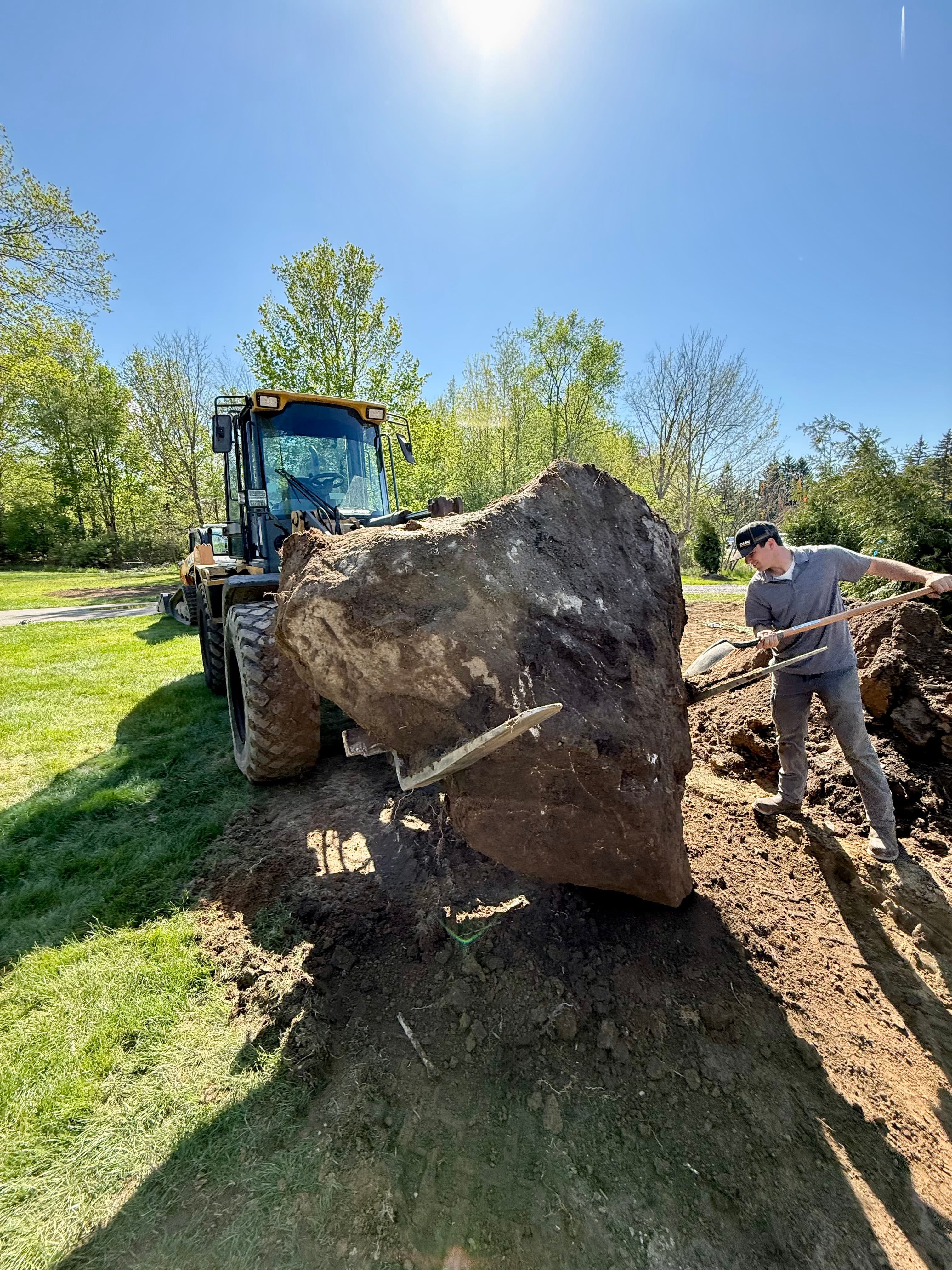 Project When Tree Planting Turns Into a Boulder Removal Job image