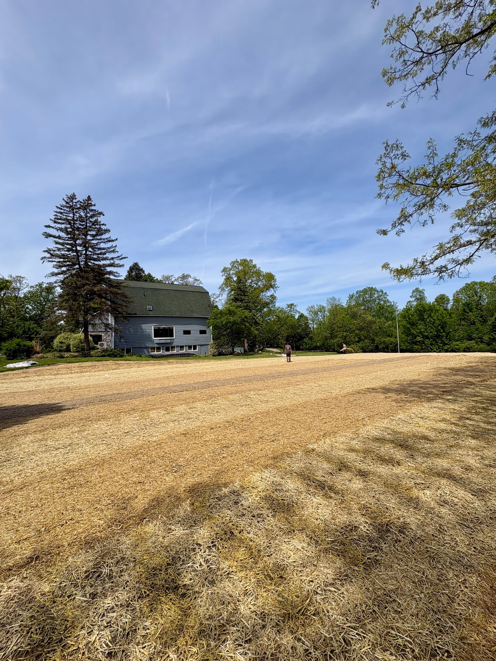 Grading and Seeding 13,000 Sq Ft in Novi image