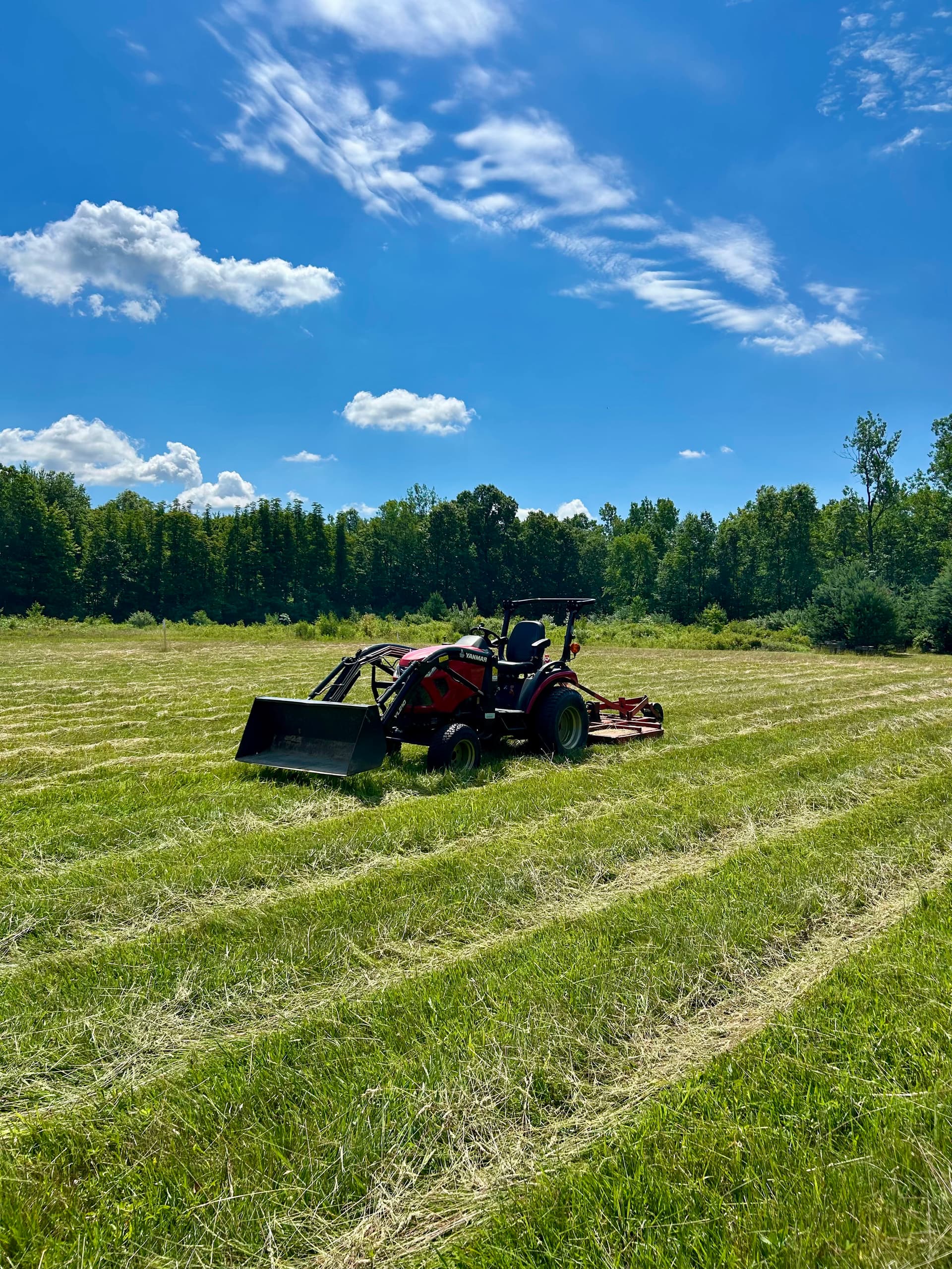 Brush Hogging Overgrown Acreage Back Into Shape image
