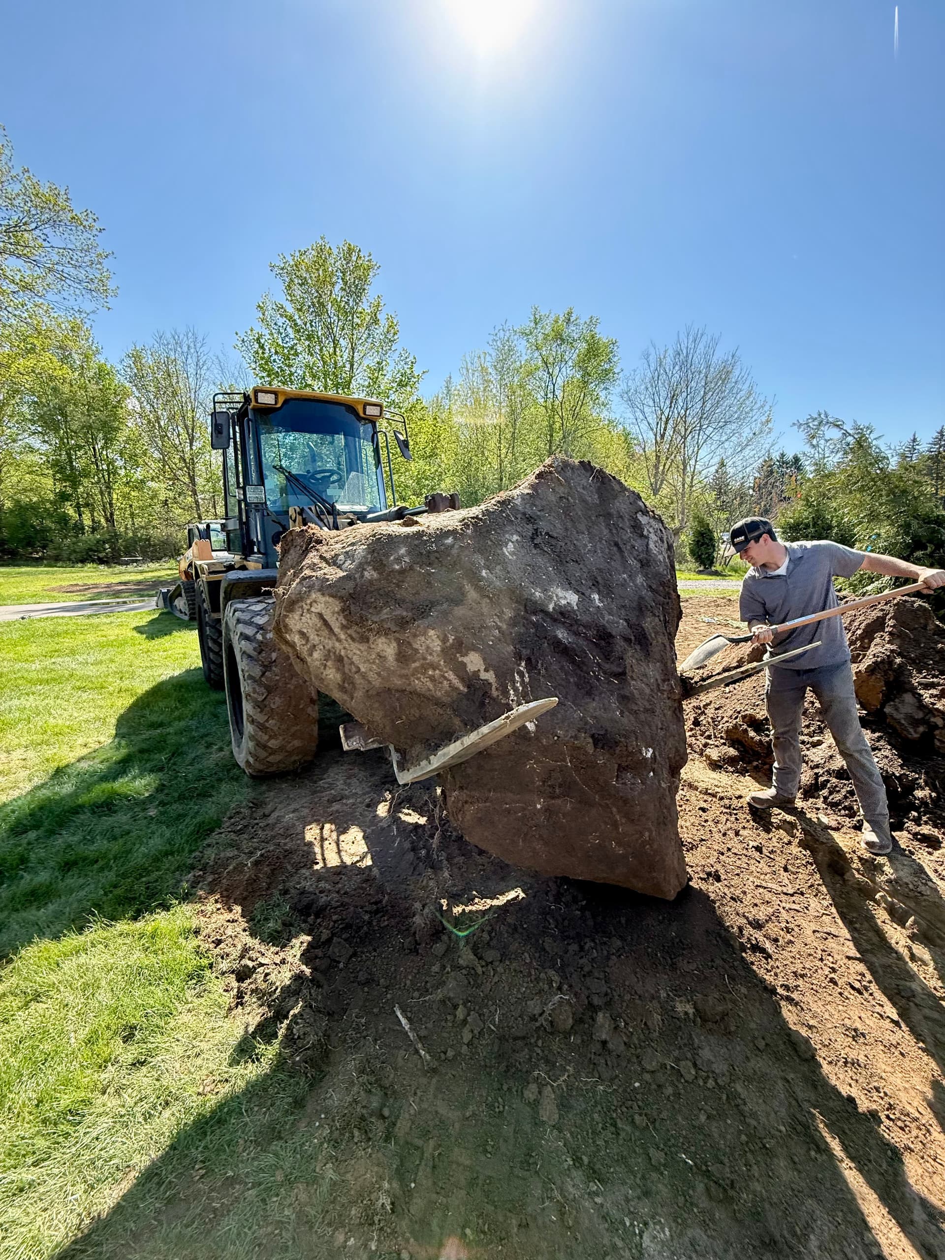 When Tree Planting Turns Into a Boulder Removal Job image